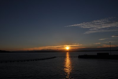 A Peaceful Harbor
