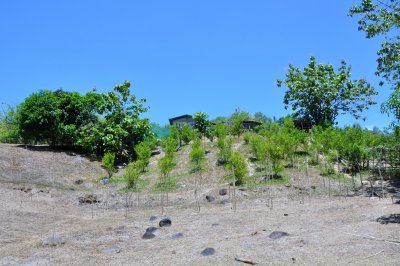 House on a Hill
