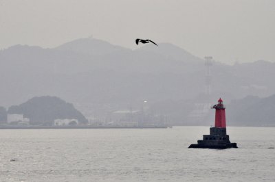 Bay at Yokosuka