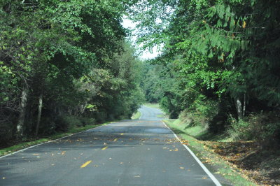 Road to Indian Island