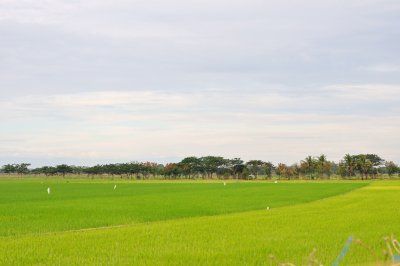 From Horizon