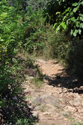 Going Down