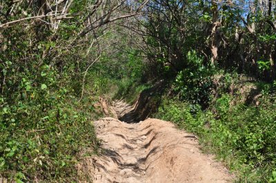 up the hill
