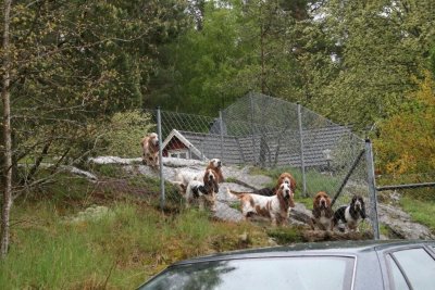 BOZITA - Vårgårda 2010-05-25