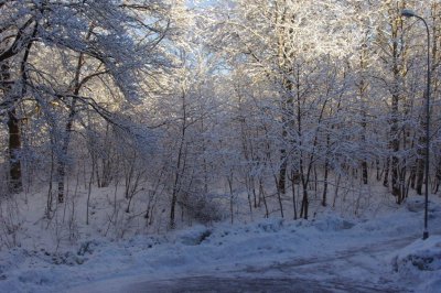 Winter 2010-2011