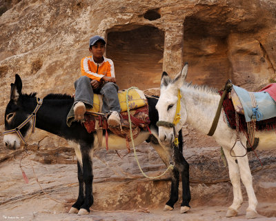 A young boy and his donkeys.jpg