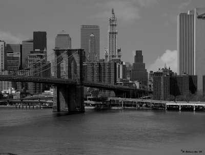 NY downtown skyline.jpg