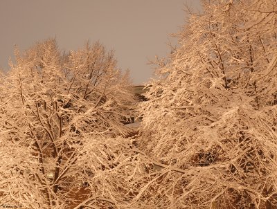 Snowy days