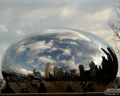 The Bean at Millennium Park.jpg