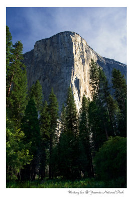 Yosemite National Park 6 - El Captain