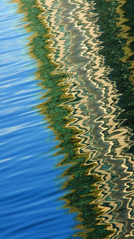 St Johns River Abstraction #8