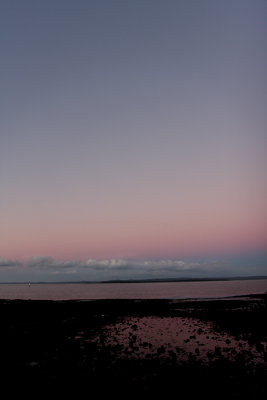 Welly Foreshore