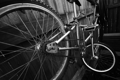 10th (tie) - Bike by Rod