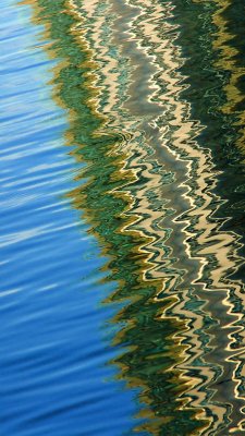 St Johns River Abstraction #8
