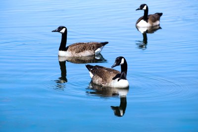 Three's a crowd