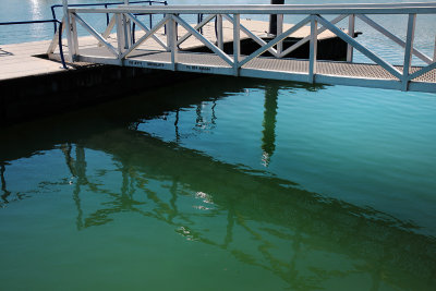 Pontoon