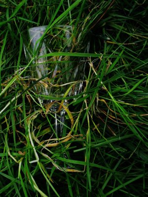 Glass in grass