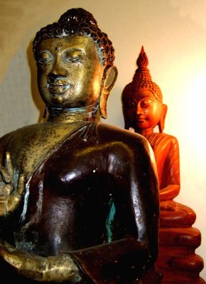 Budhha Rupas