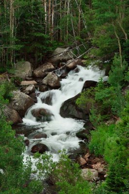 _MG_1419.jpg