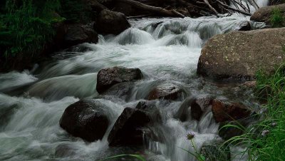 _MG_1426.jpg