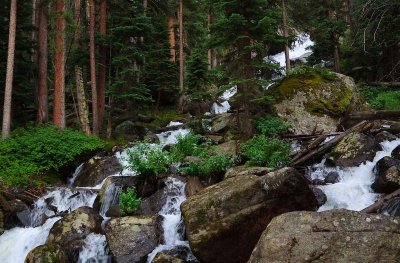 _MG_2021.jpg