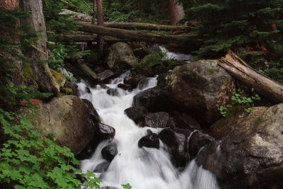 _MG_2044.jpg