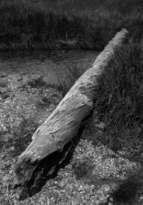 _MG_2155.jpg