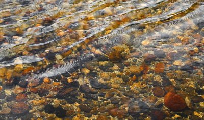 _MG_2162.jpg