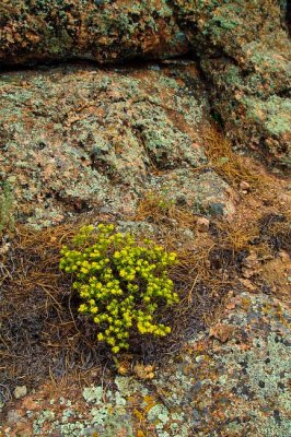 _MG_1079.jpg