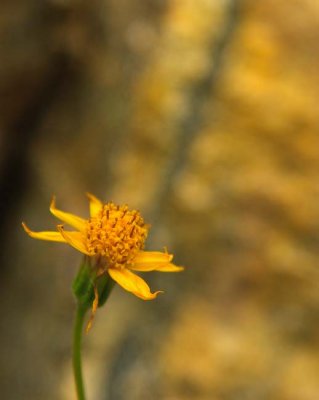 _MG_1610.jpg