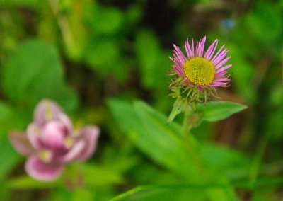 _MG_1635.jpg