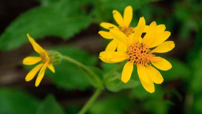 _MG_1636.jpg