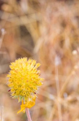 _MG_1744.jpg