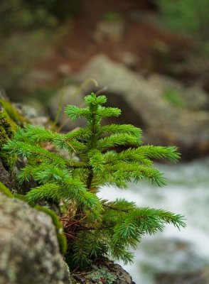_MG_1900.jpg