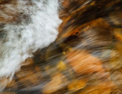 _MG_1088.jpg