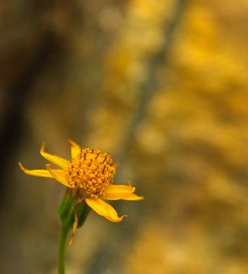 _MG_1610.jpg