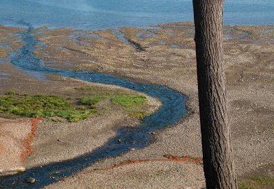 Hood_Canal_06_09_2877.jpg