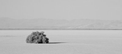 SE_Ore_2009-22.jpg