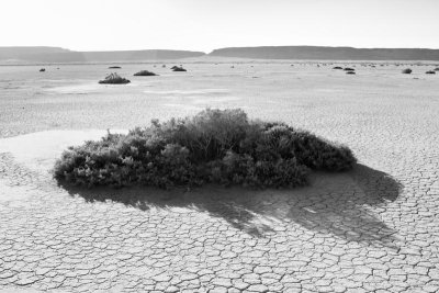 SE_Ore_2009-24.jpg