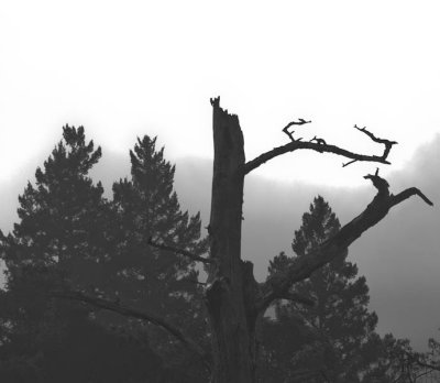 _MG_2668.jpg