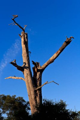 _MG_2741.jpg