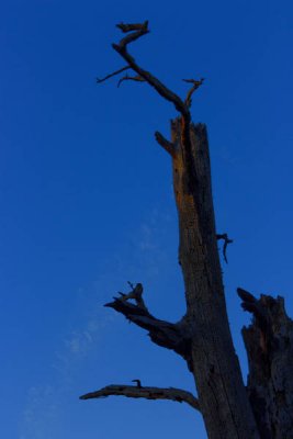 _MG_2744.jpg