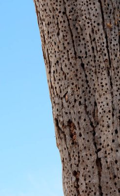 _MG_2765.jpg