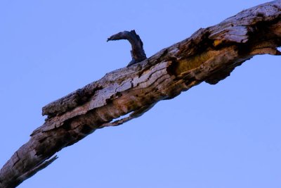 _MG_2783.jpg