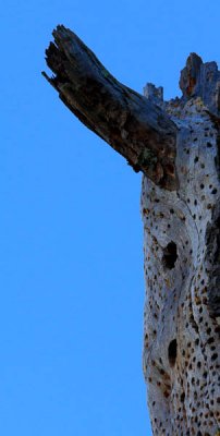 _MG_2798.jpg