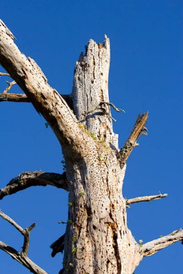 _MG_2819.jpg