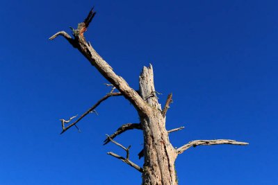 _MG_2823.jpg