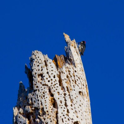 _MG_2836.jpg