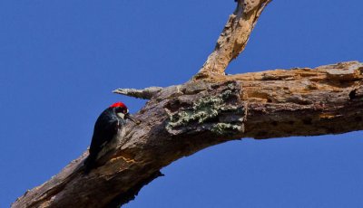 _MG_2890.jpg