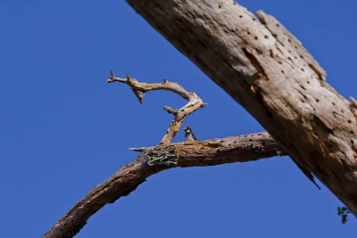 _MG_2904.jpg